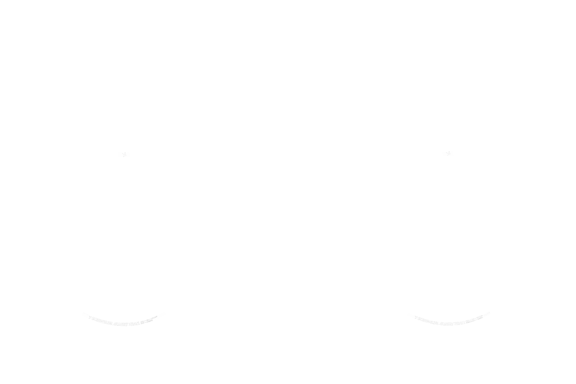 Propain Bike Configurator option image