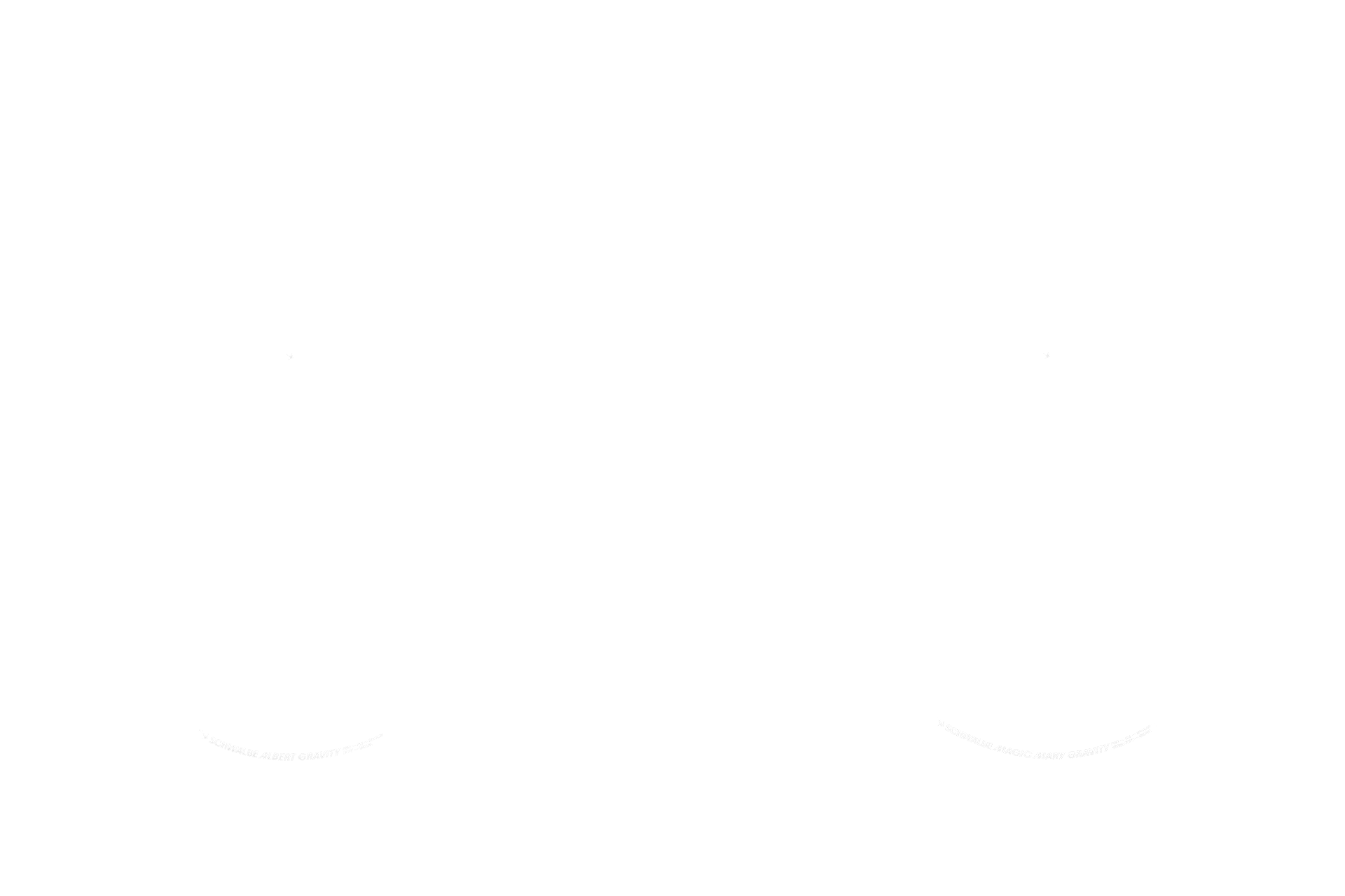 Propain Bike Configurator option image